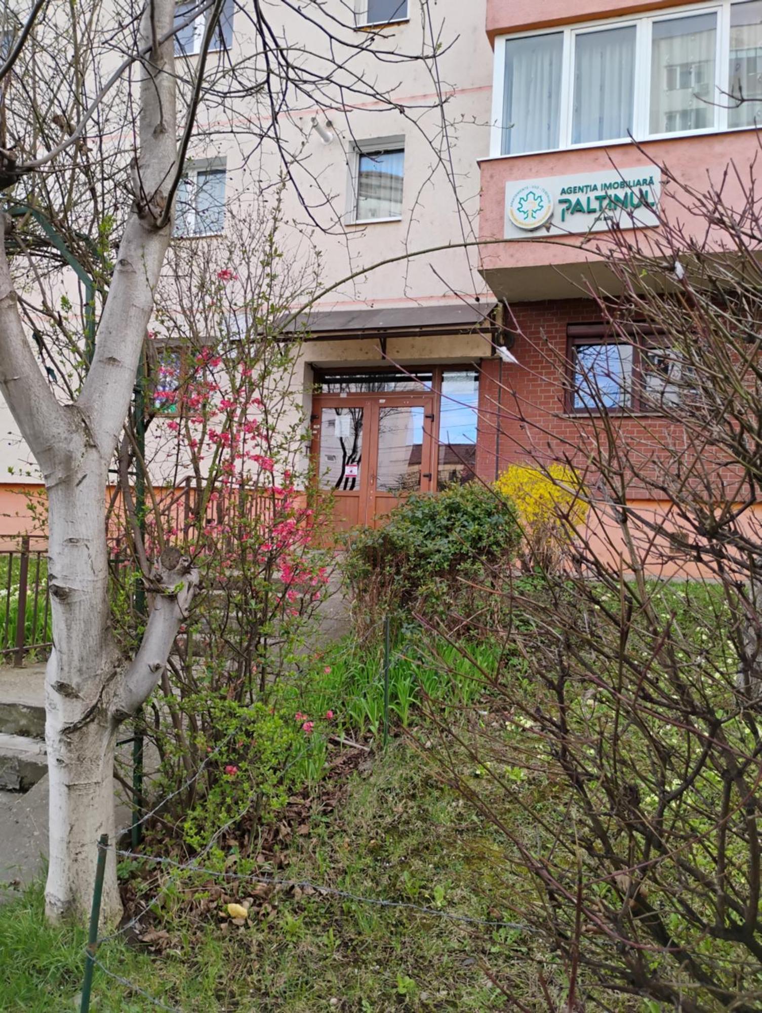 Apartament Acasa Sibiu Ngoại thất bức ảnh